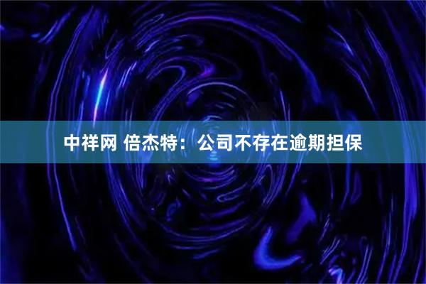 中祥网 倍杰特：公司不存在逾期担保