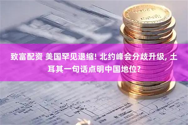 致富配资 美国罕见退缩! 北约峰会分歧升级, 土耳其一句话点明中国地位?